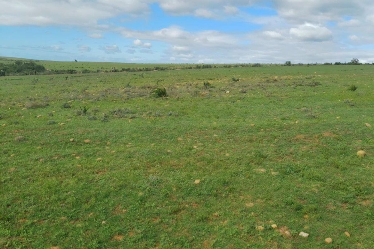 Farm For Sale in Mossel Bay Rural, Mossel Bay - Photo 4
