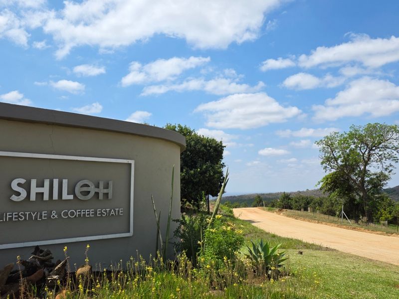 Entrance view of Shiloh Lifestyle and Coffee Estate featuring estate signage and a dirt access road leading into the property.
