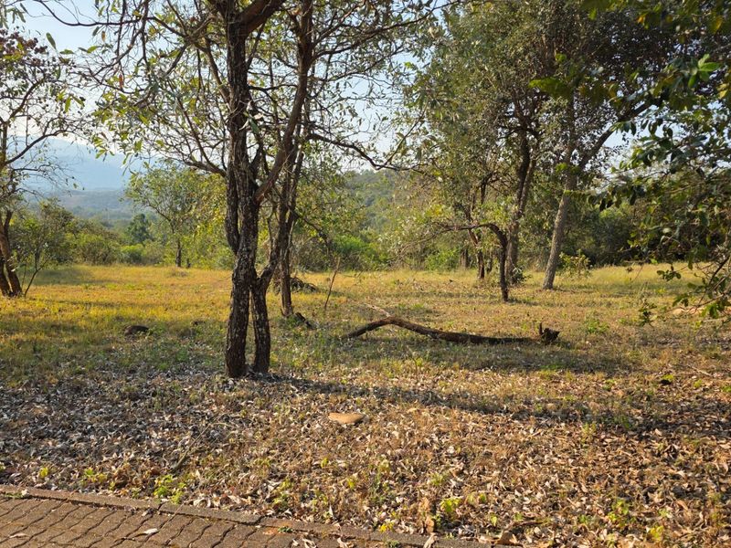 A view of a vacant residential plot featuring mature trees and natural landscape, bordered by a paved edge.