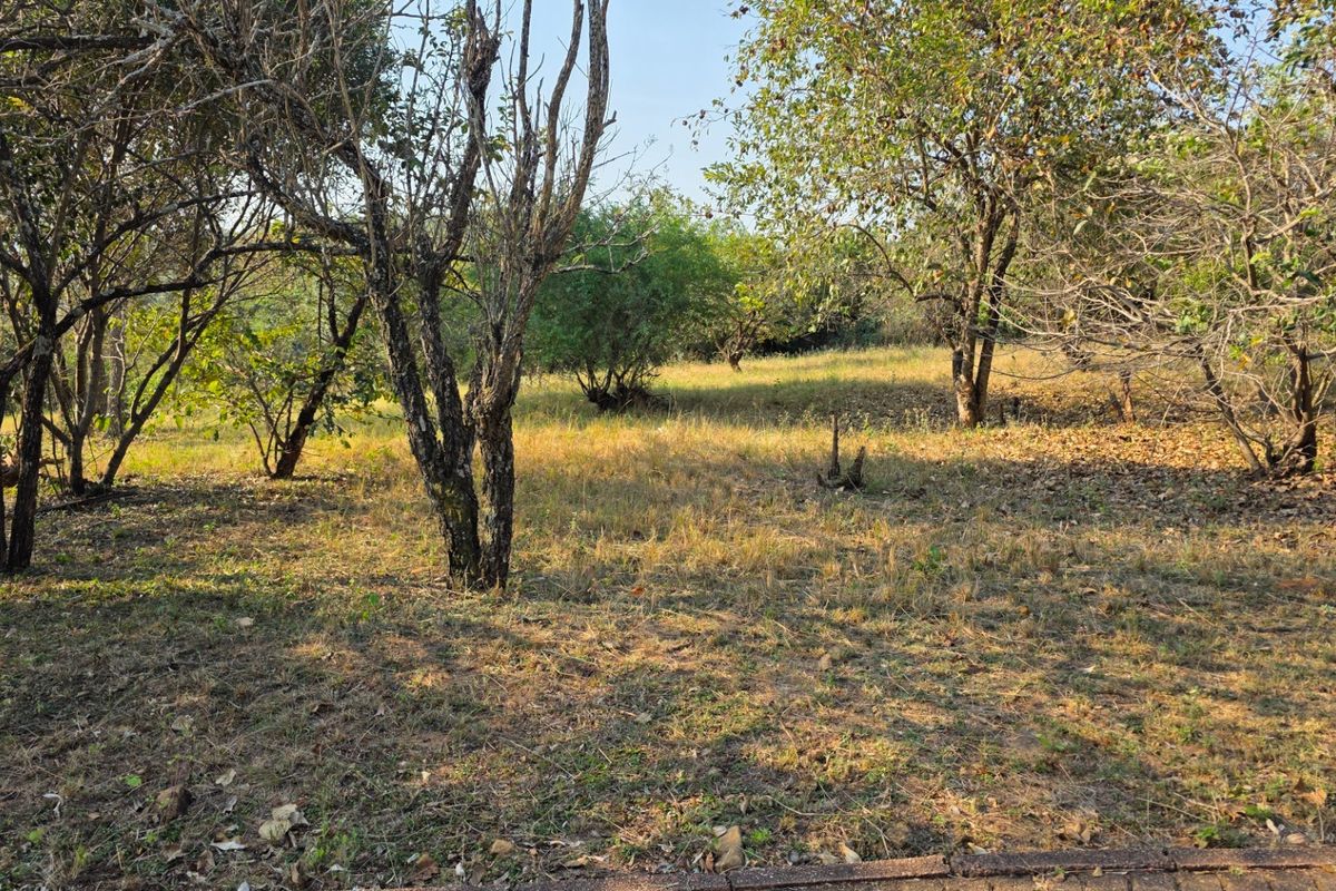 A view of a vacant residential plot featuring established trees and natural ground cover.