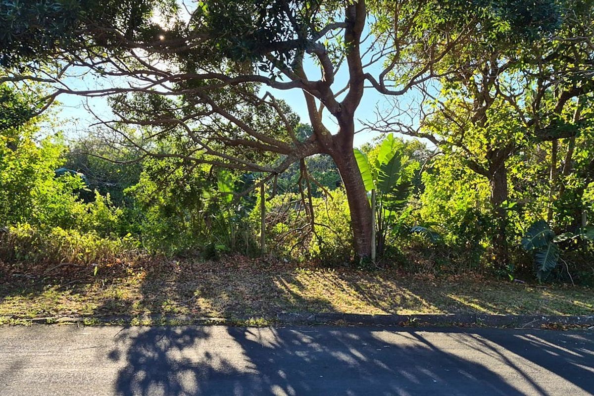 A view of a vacant residential plot from the street, featuring mature trees and established vegetation.