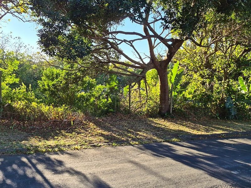 Super Large Erf in Well Established Area - Photo 4