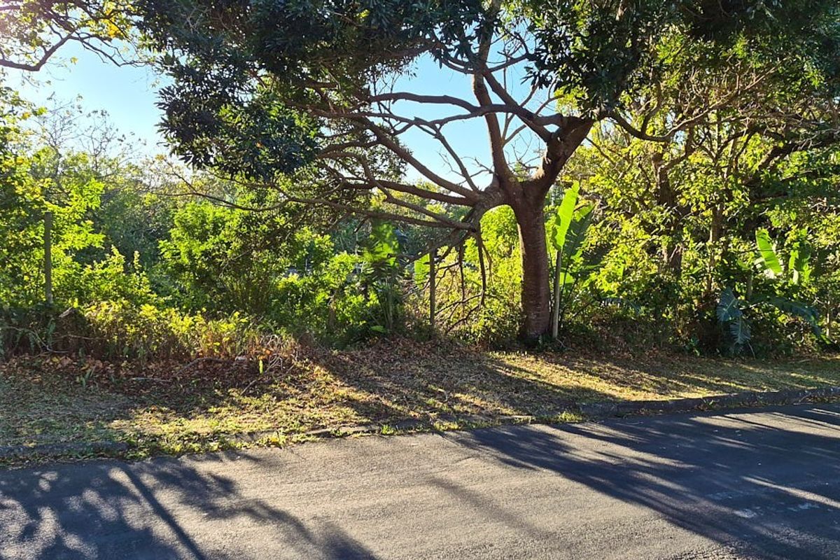 A view of the vacant residential land from the street, featuring mature trees and established vegetation along the property boundary.