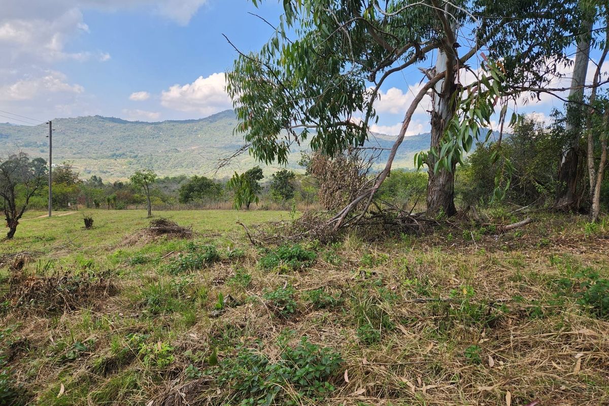 1.1ha Small Holding with views, water and electricity - Photo 4