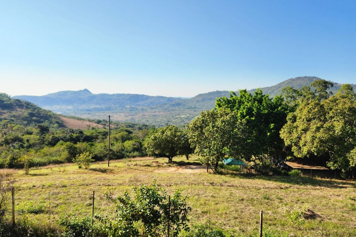 1.1ha Small Holding with views, water and electricity - Photo 3