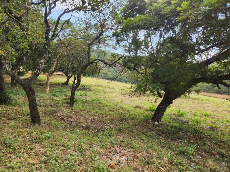 1.1ha Small Holding with views, water and electricity - Photo 5