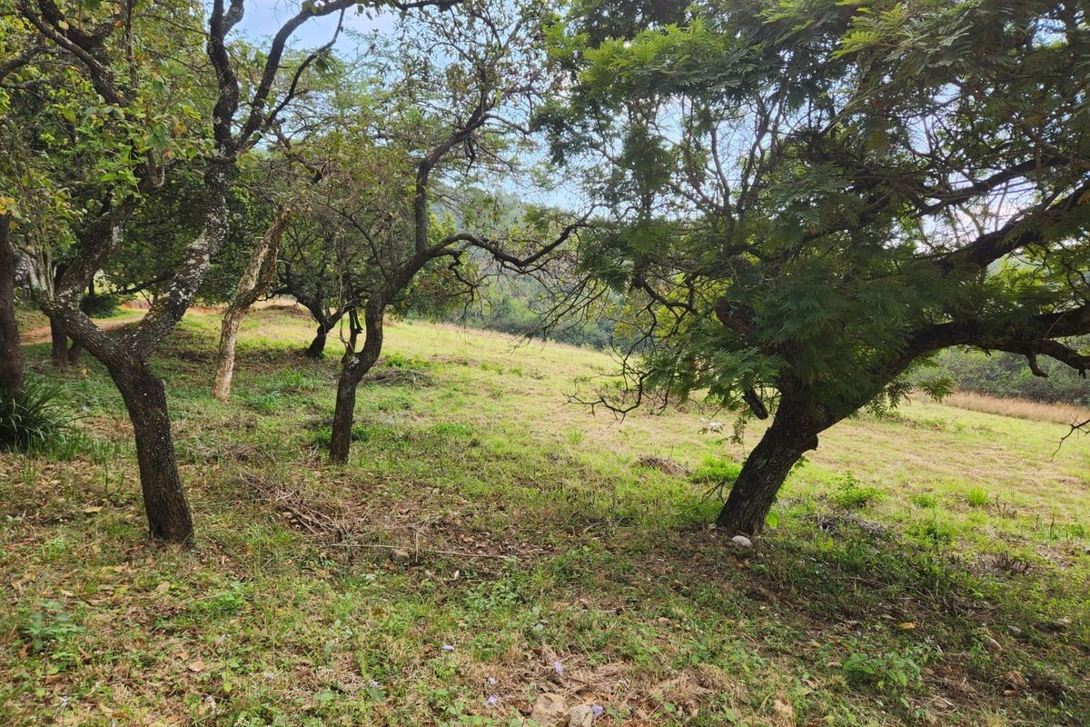 1.1ha Small Holding with views, water and electricity - Photo 5