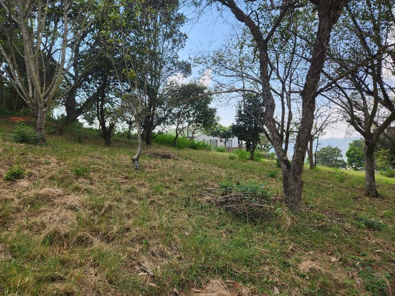 1.1ha Small Holding with views, water and electricity - Photo 6