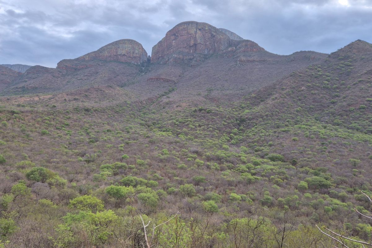 Located on the slopes of the  Drakensberg Mountains with views over mountain and Limpopo, Hoedspruit - Photo 3