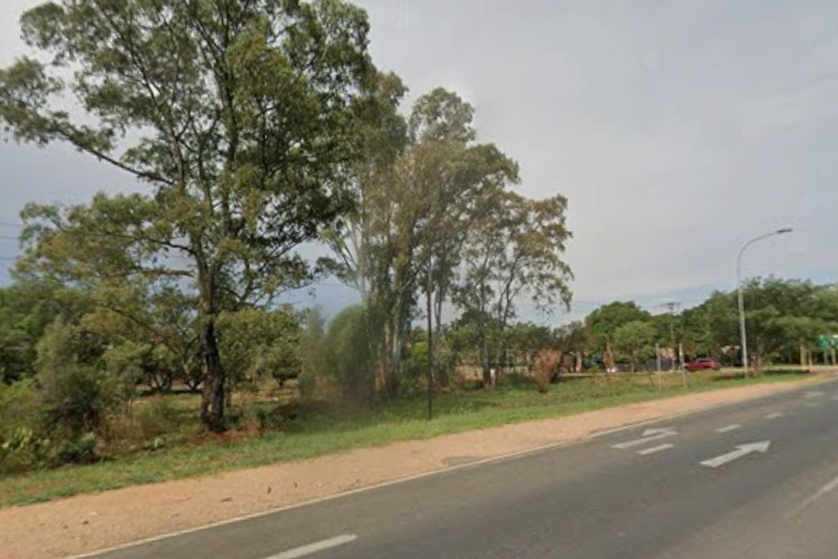 Street view of the vacant agricultural land featuring mature trees and direct access to the adjacent paved road.