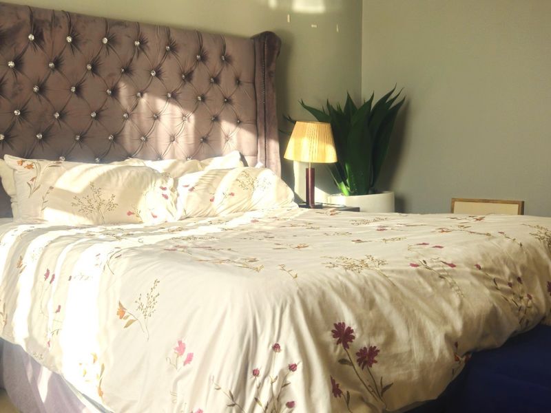 A well-lit bedroom featuring a tufted upholstered headboard and neutral wall finishes.