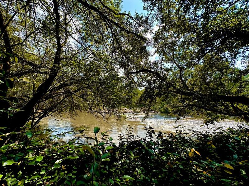 5 Hectare vacant stand Crocodile River Reserve - Lanseria - Photo 4