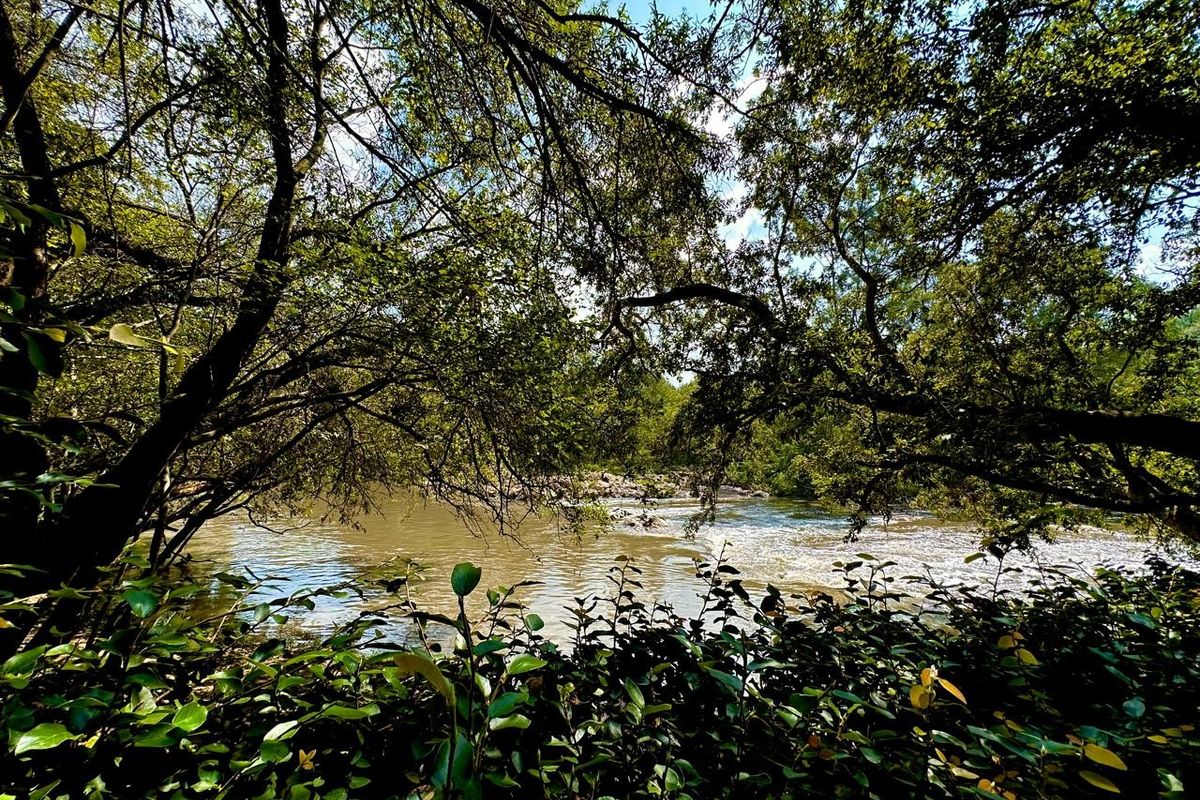 A scenic view of a flowing river framed by mature trees and lush natural vegetation on the property.