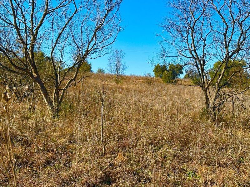 5 Hectare vacant stand Crocodile River Reserve - Lanseria - Photo 3