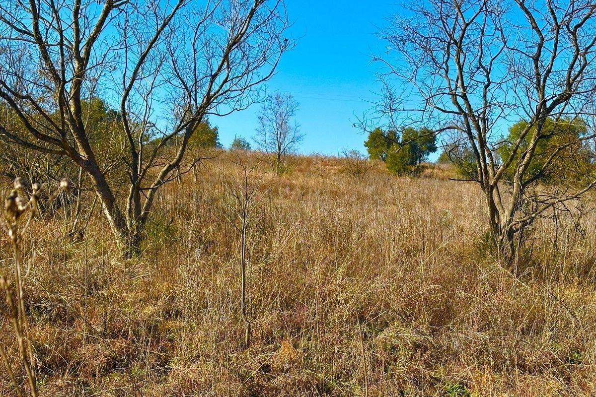 A view of the natural landscape and mature trees on the farm property.