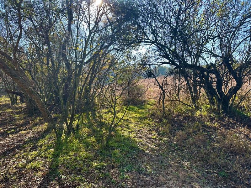 5 Hectare vacant stand Crocodile River Reserve - Lanseria - Photo 6