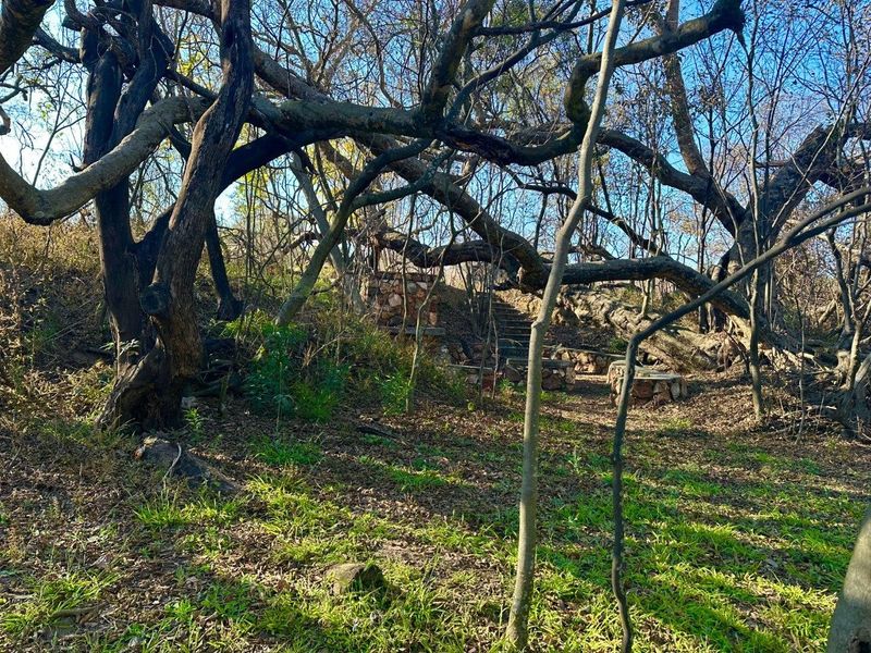 5 Hectare vacant stand Crocodile River Reserve - Lanseria - Photo 2