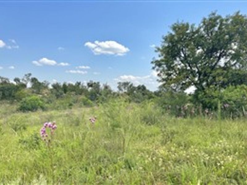 21 Hectares of Untamed Luxury: Prime Vacant Land in Crocodile River Reserve - Photo 1
