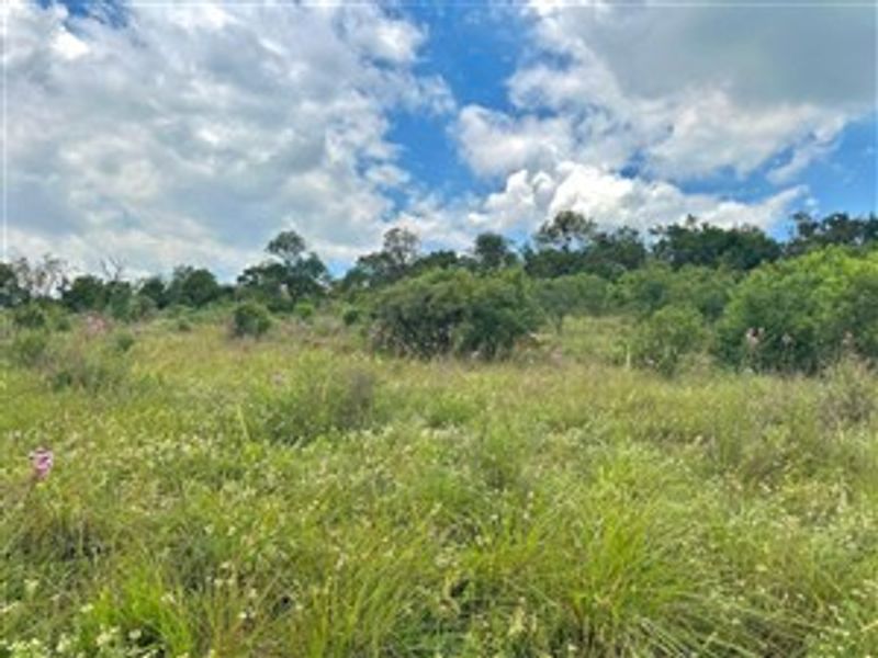 21 Hectares of Untamed Luxury: Prime Vacant Land in Crocodile River Reserve - Photo 4