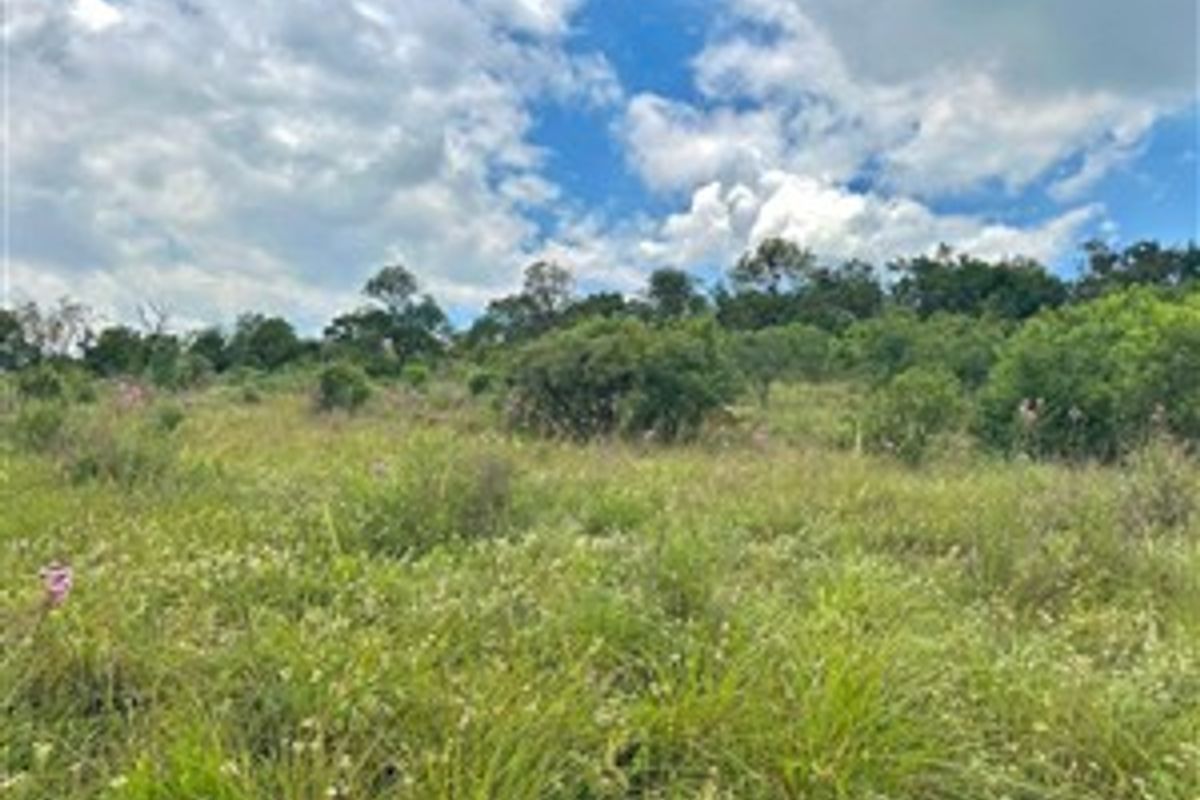 A view of the vacant residential land featuring natural grassland and native vegetation under a cloudy sky.