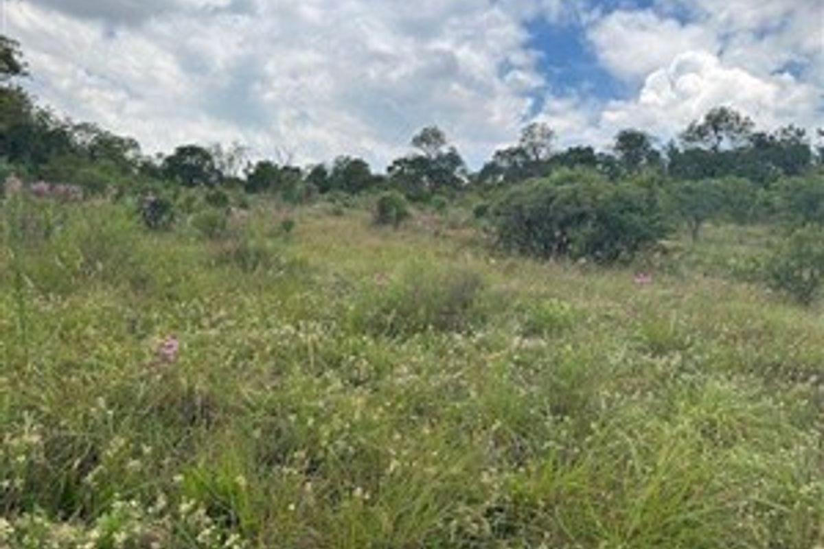 A view of the vacant residential land featuring natural vegetation, native grasses, and mature trees under a cloudy sky.