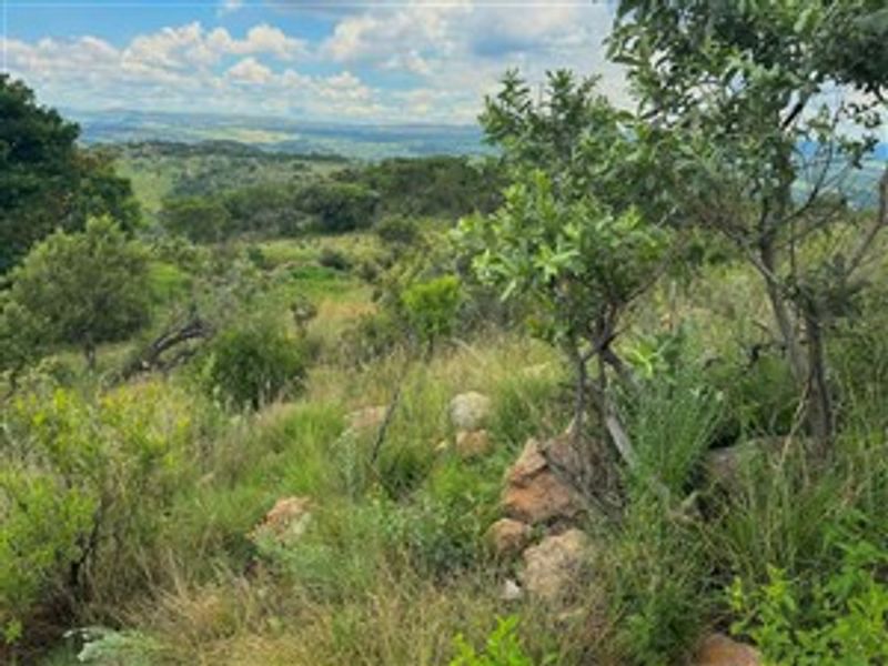 21 Hectares of Untamed Luxury: Prime Vacant Land in Crocodile River Reserve - Photo 3