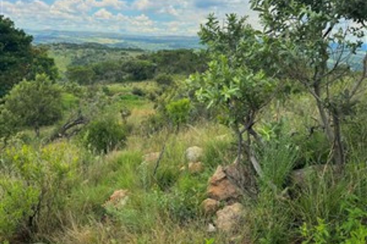 A scenic view of the natural landscape, featuring rolling hills, native vegetation, and rocky terrain on this vacant residential land.