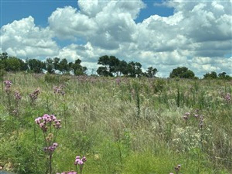 21 Hectares of Untamed Luxury: Prime Vacant Land in Crocodile River Reserve - Photo 8