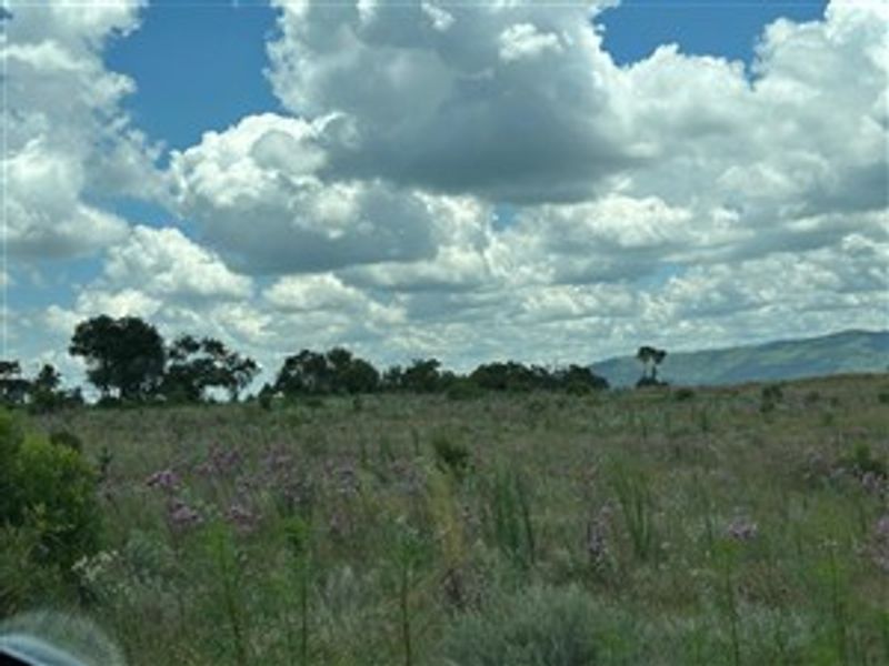 21 Hectares of Untamed Luxury: Prime Vacant Land in Crocodile River Reserve - Photo 6