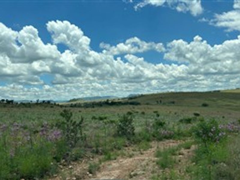 21 Hectares of Untamed Luxury: Prime Vacant Land in Crocodile River Reserve - Photo 7