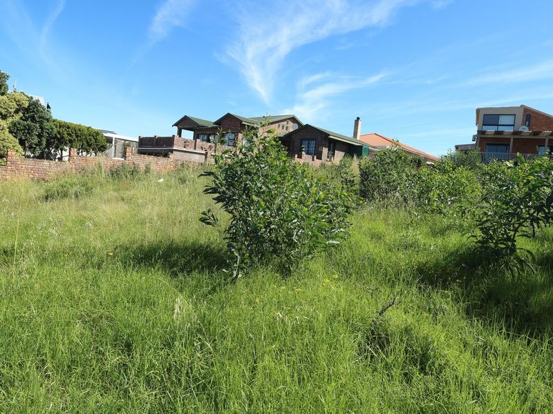 A vacant residential plot featuring natural grass cover and a brick boundary wall, situated in an established neighborhood.