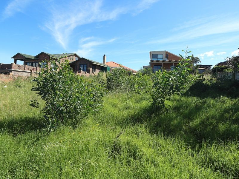 A vacant residential plot featuring natural grass and shrubs, bordered by existing residential properties in a developed neighborhood.