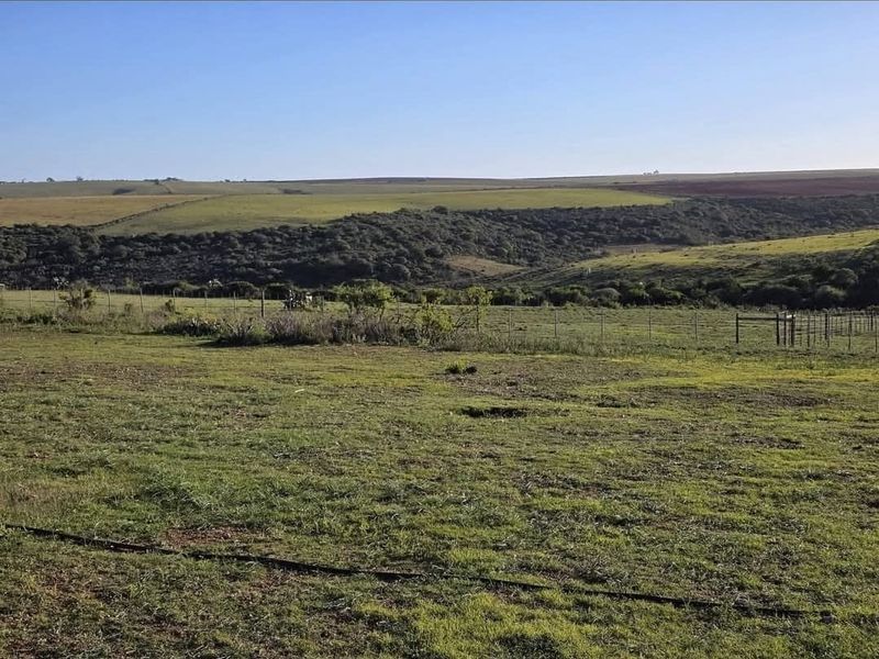 76 HA farm For Sale - Photo 3