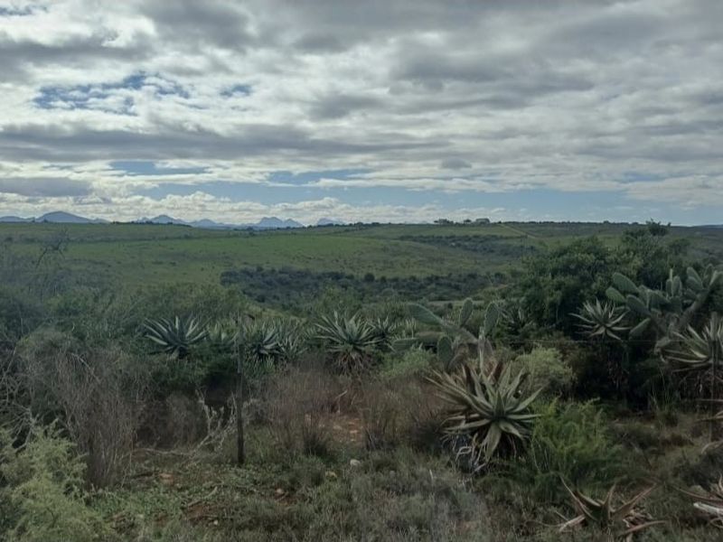 76 HA farm For Sale - Photo 5