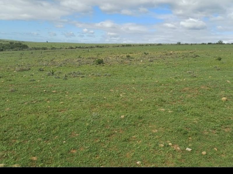 76 HA farm For Sale - Photo 9