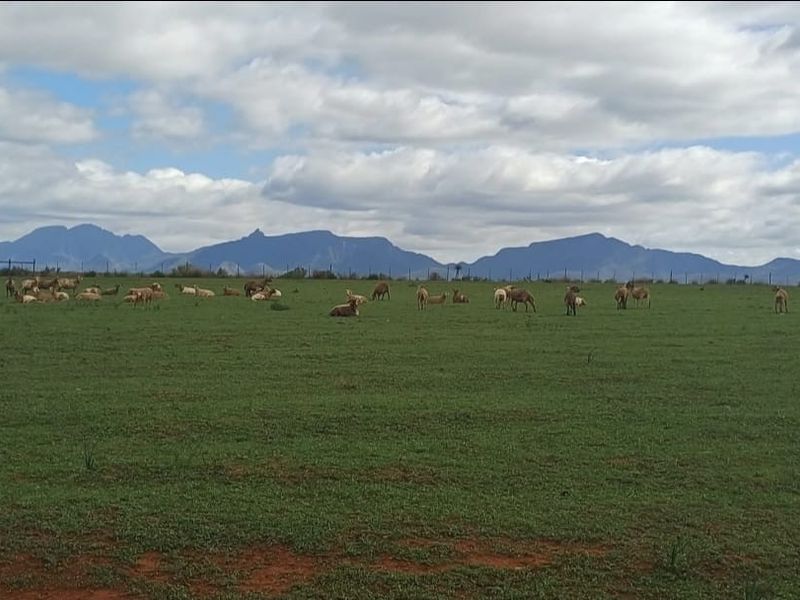 76 HA farm For Sale - Photo 10