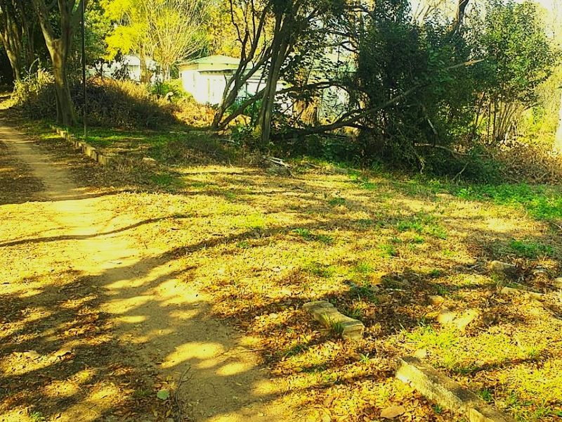 Farm For Sale in Nooitgedacht, Krugersdorp - Photo 3