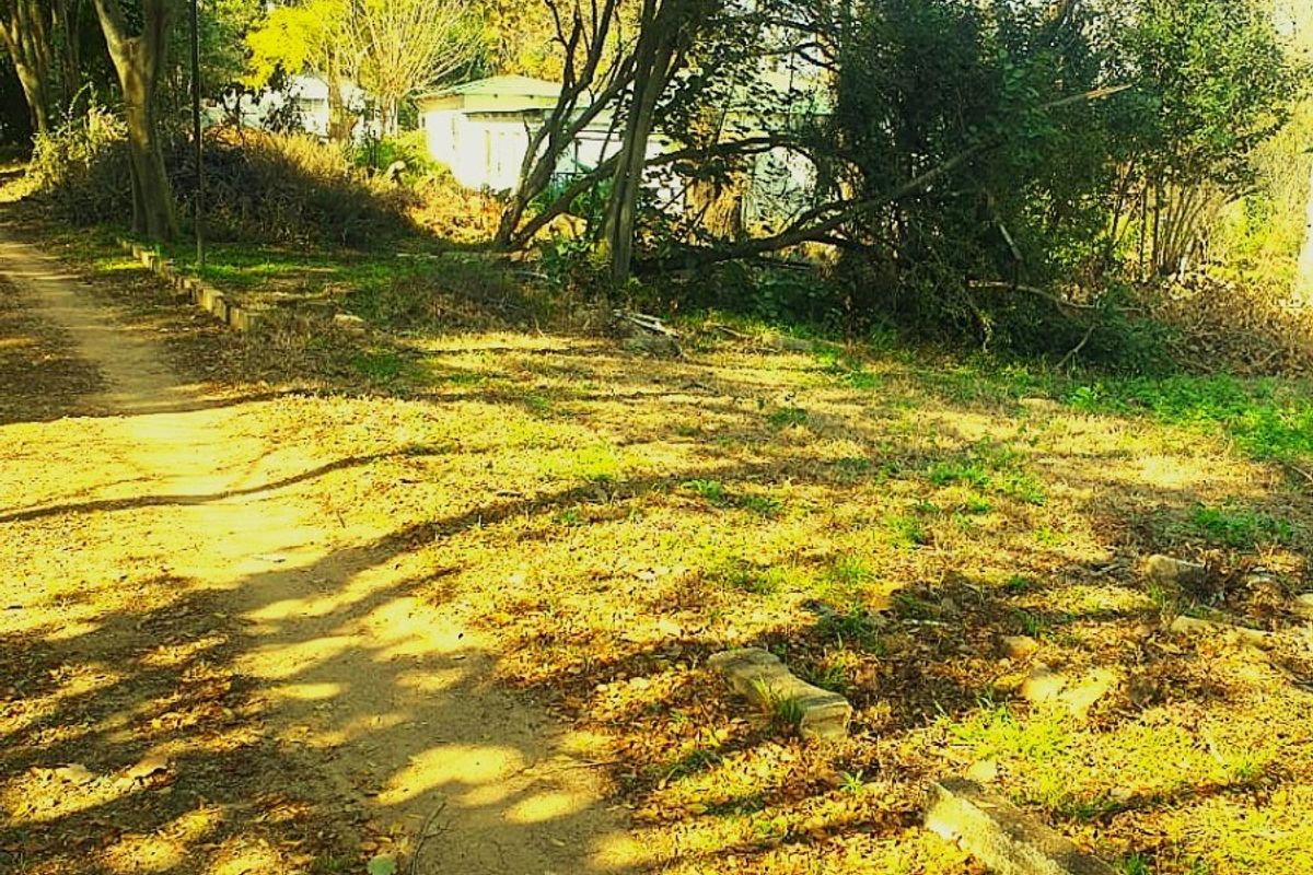 A view of the farm grounds featuring a dirt pathway leading through mature trees and natural landscape towards a distant structure.
