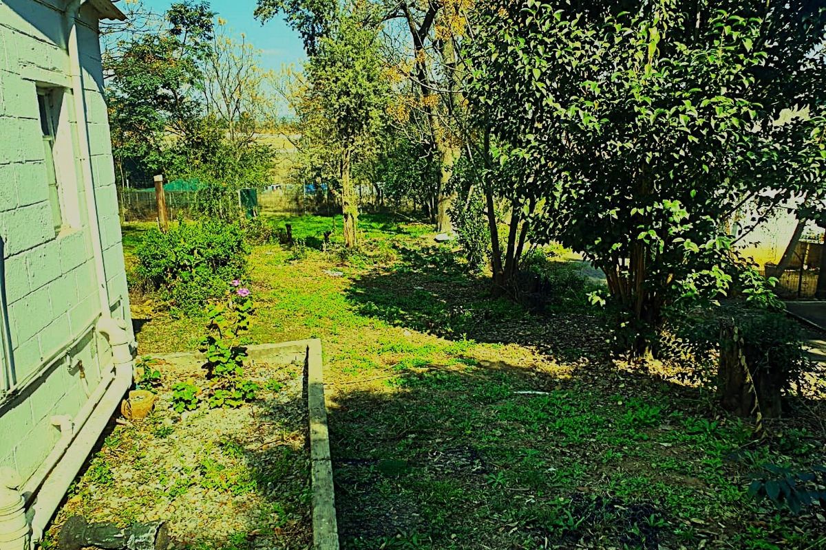 A view of the rear garden area featuring mature trees, established greenery, and a concrete border adjacent to the exterior wall of the farm dwelling.
