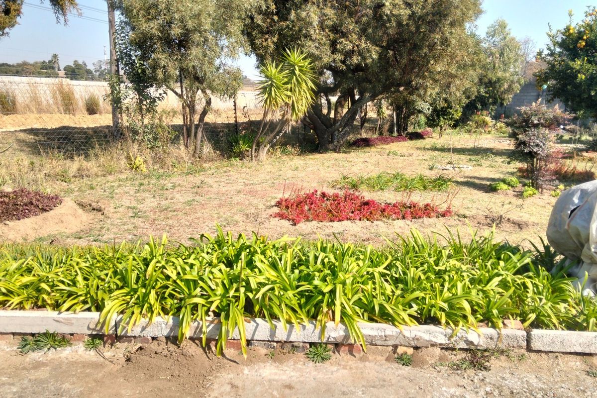 Small Holding 3 bed House 1 Bed Cottage on 8.5ha Land For Sale in Knoppieslaagte, Centurion - Photo 5