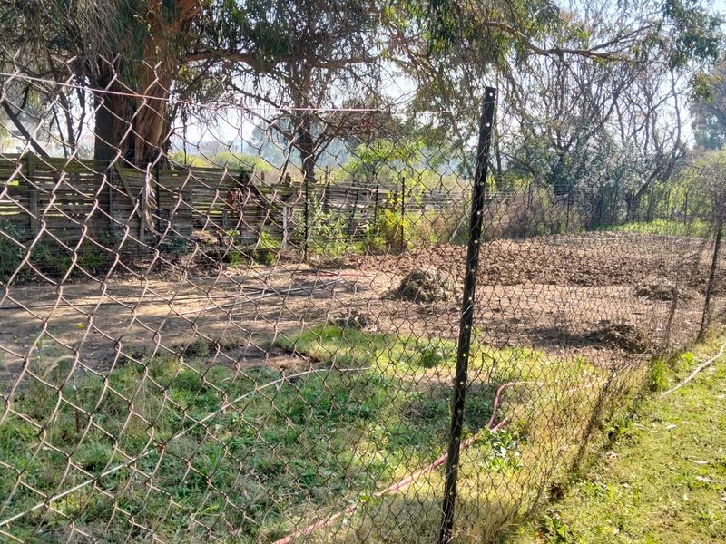 Small Holding 3 bed House 1 Bed Cottage on 8.5ha Land For Sale in Knoppieslaagte, Centurion - Photo 6