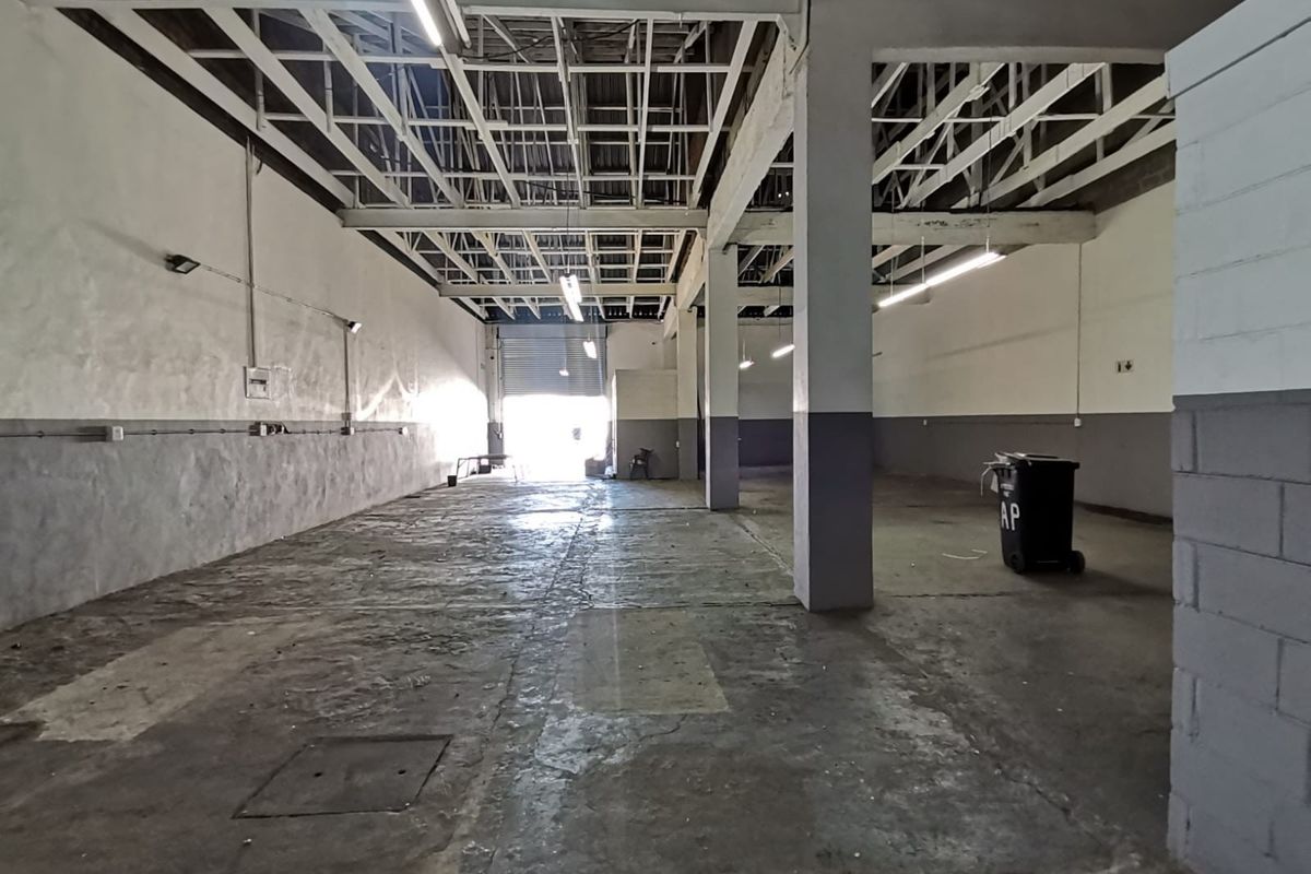 Spacious industrial warehouse unit featuring exposed steel roof trusses, concrete flooring, and a large roller shutter door for easy access.
