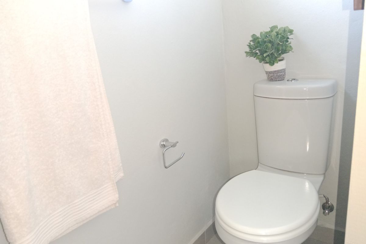 A compact bathroom featuring a modern white toilet, wall-mounted towel rail, and toilet roll holder.