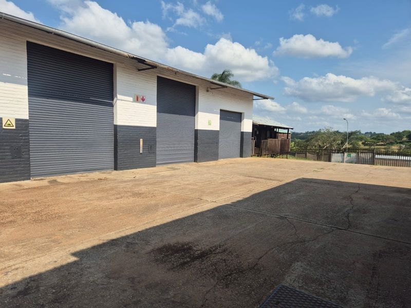 Industrial warehouse exterior featuring multiple roller shutter doors and a large concrete loading area.