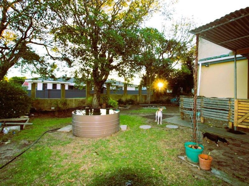 A private backyard garden featuring mature trees, a corrugated metal water tank, and a covered patio area with paved flooring.