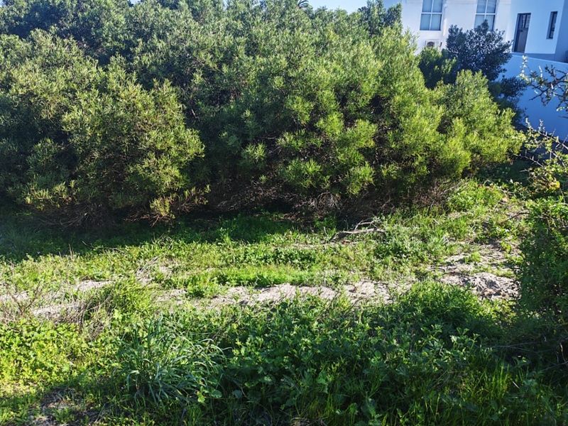 A view of a vacant residential plot featuring established native shrubbery and natural ground cover with adjacent residential housing visible.