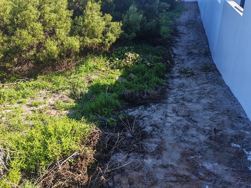 A side garden area featuring a boundary wall and natural vegetation, offering potential for landscaping and outdoor improvement.