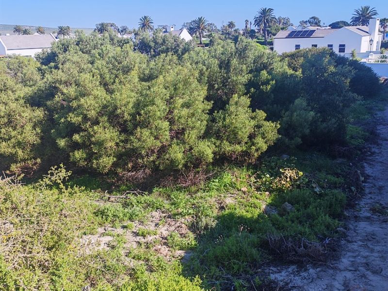 A view of a vacant residential plot featuring native vegetation and surrounding neighborhood homes.