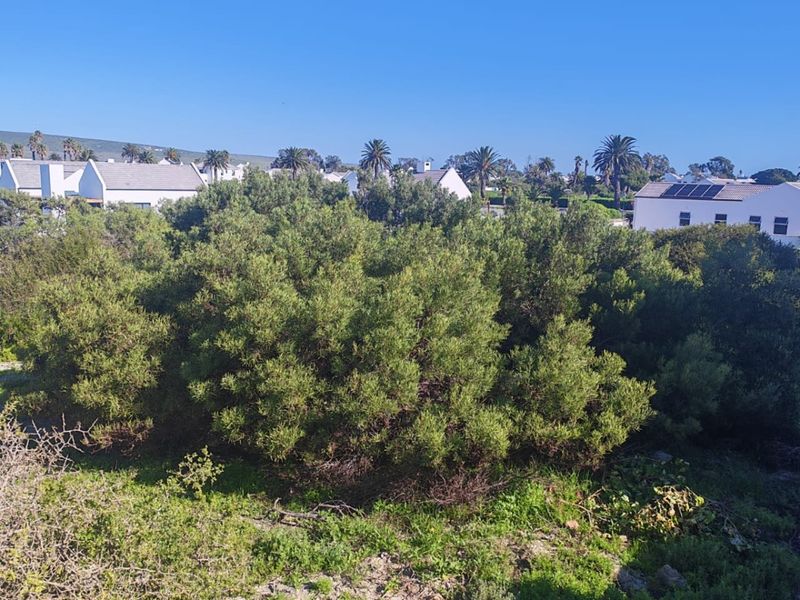 A view of a vacant residential plot featuring dense native shrubbery and vegetation with surrounding residential properties in the background.