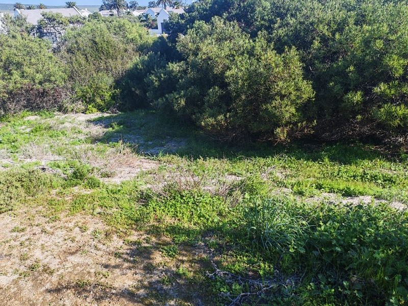 A view of the vacant residential land featuring natural vegetation and sandy ground cover with surrounding neighborhood properties in the distance.